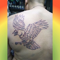 tattooアート・a.k.aだぁ君・八咫烏筋彫り